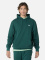 REED HOODIE MEN zelené