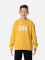 JACOB CREWNECK SWEATER BOY žluté